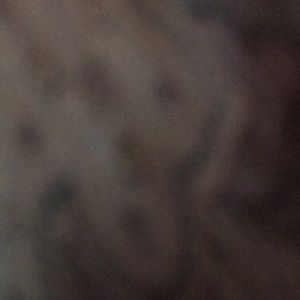 Meet your Posher, Andy